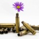 Flower growing out of bullet