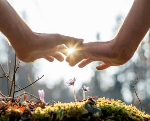 Reflection_CST in Laudato Si’.jpg