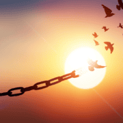 Birds are coming together, not allowing chains to hold them back from the peace and sunshine that they seek. During time of jubilee it's important to know the power behind coming together.