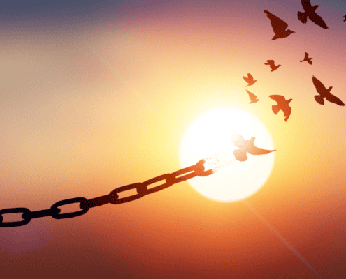 Birds are coming together, not allowing chains to hold them back from the peace and sunshine that they seek. During time of jubilee it's important to know the power behind coming together.