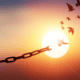 Birds are coming together, not allowing chains to hold them back from the peace and sunshine that they seek. During time of jubilee it's important to know the power behind coming together.